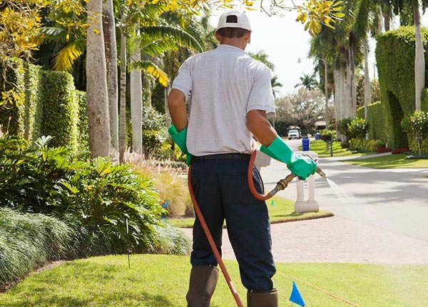 About Lacoochee FL Pest Control Pros